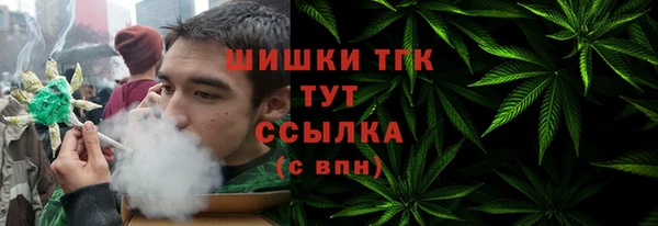 Альфа ПВП Аркадак