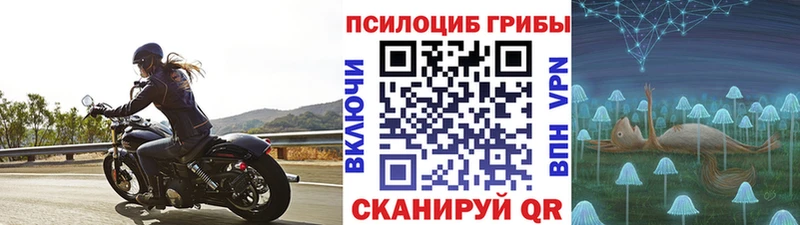 закладки  Углегорск  Галлюциногенные грибы Psilocybine cubensis 